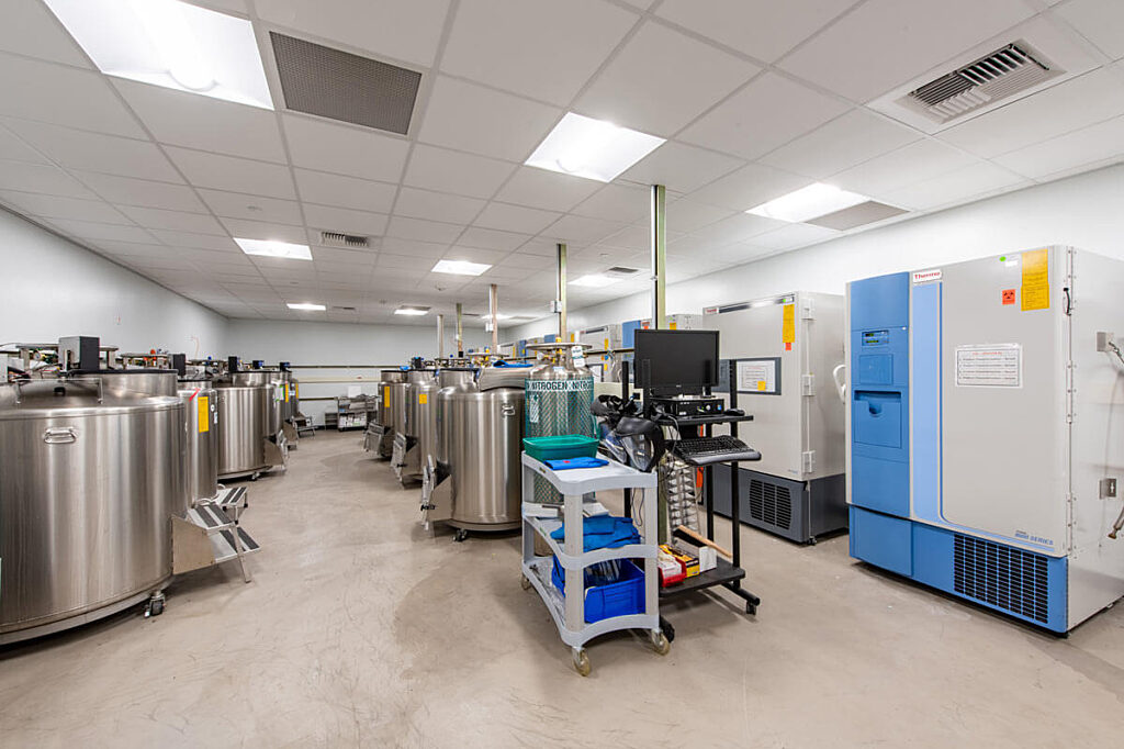 Dendreon Labs research area