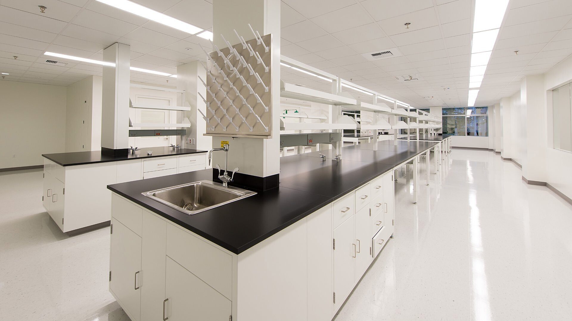 Larger lab space in The Labs at 201 Elliott