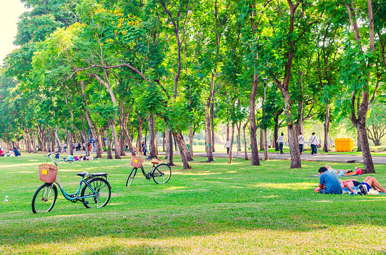 Park with trees and people laying on grass.